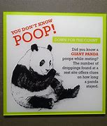 Image result for Giant Panda Poop