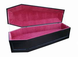 Image result for Coffin Bed
