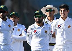Image result for Cricket Taking Run