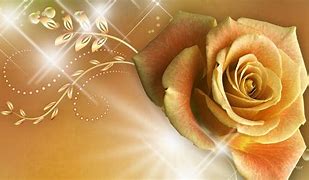 Image result for Golden Rose Wallpaper