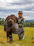 Image result for Wild Turkey Hunting