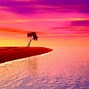 Image result for Pink Beach Sunset Background