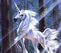 Image result for Mysical Unicorn Picture