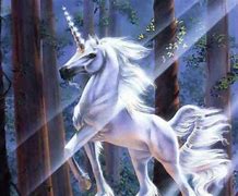 Image result for Original Unicorn