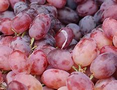 Image result for Large Grapes