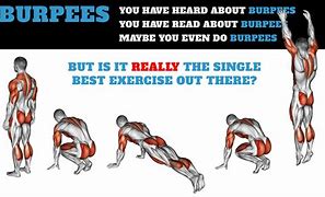 Image result for Burpee Chart