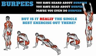 Image result for Burpee Muscle Groups