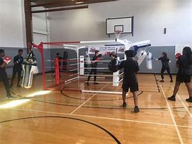 Image result for Portable Boxing Ring