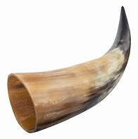 Image result for Horn Texture
