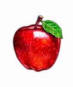 Image result for Apple Magnets