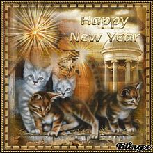 Image result for Happy New Year Kitty GIF