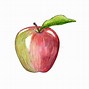 Image result for Green Apple Watercolor