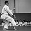 Image result for Practicing Karate