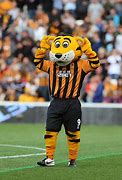 Image result for Hull City FC Mascot