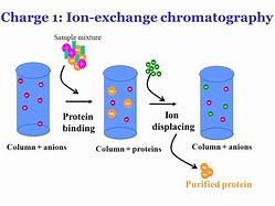 Image result for Cation Exchange Chromatography