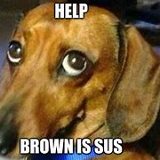 Image result for When Brown Is Sus Hanging Meme