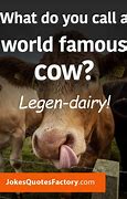 Image result for Funny Jokes About Cows