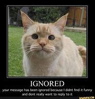 Image result for Your Message Has Been Ignored Meme