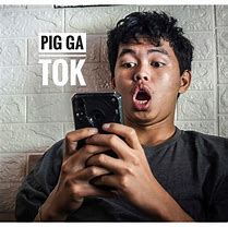 Image result for iPhone XR Pig Case