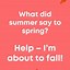 Image result for Funny Spring Jokes for Kids