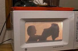 Image result for Microwave Brain Meme