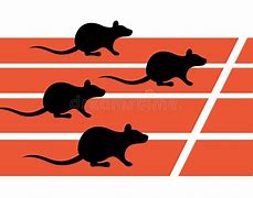 Image result for Rat Run