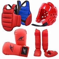 Image result for Martial Arts Protective Gear
