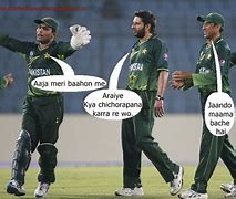 Image result for Funny Cricket Pics