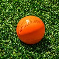 Image result for Kids Cricket in WA