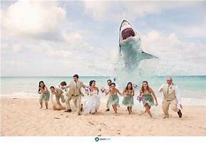 Image result for Funny Beach Wedding Meme