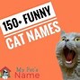 Image result for Meme Cat Names