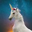 Image result for Funny Unicorn Pictures
