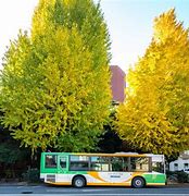 Image result for Japanese University Tokyo