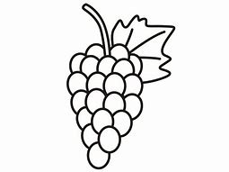 Image result for Grape Boycott Drawing