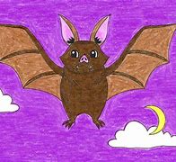 Image result for Bat Reference Photo for Drawing