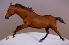 Image result for Horse Running White Background