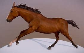 Image result for Horse Racing 3D