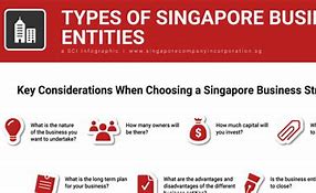Image result for Singapore Pte LTD Entity