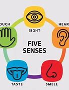 Image result for Five Senses Words