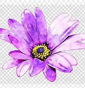 Image result for Watercolor Clip Art