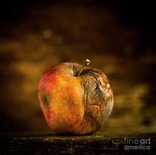 Image result for Rotten Apple Smell