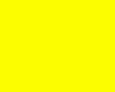 Image result for Pastel Yellow