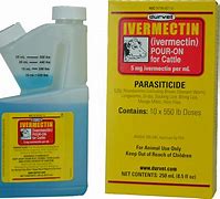 Image result for Ivermectin Pour On