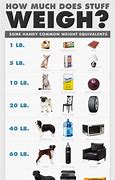 Image result for Objects That Weigh 4 Tons