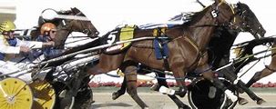 Image result for Harness Racing Books