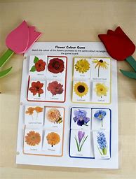 Image result for Flower Color Matching Game