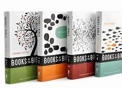 Image result for NIV the Books of the Bible 4 Set