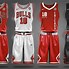 Image result for Chicago Bulls Jersey Bred