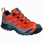 Image result for Salomon Xa Pro 3D Mountain Trail