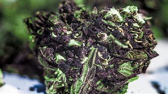 Image result for Black Mamba Marijuana